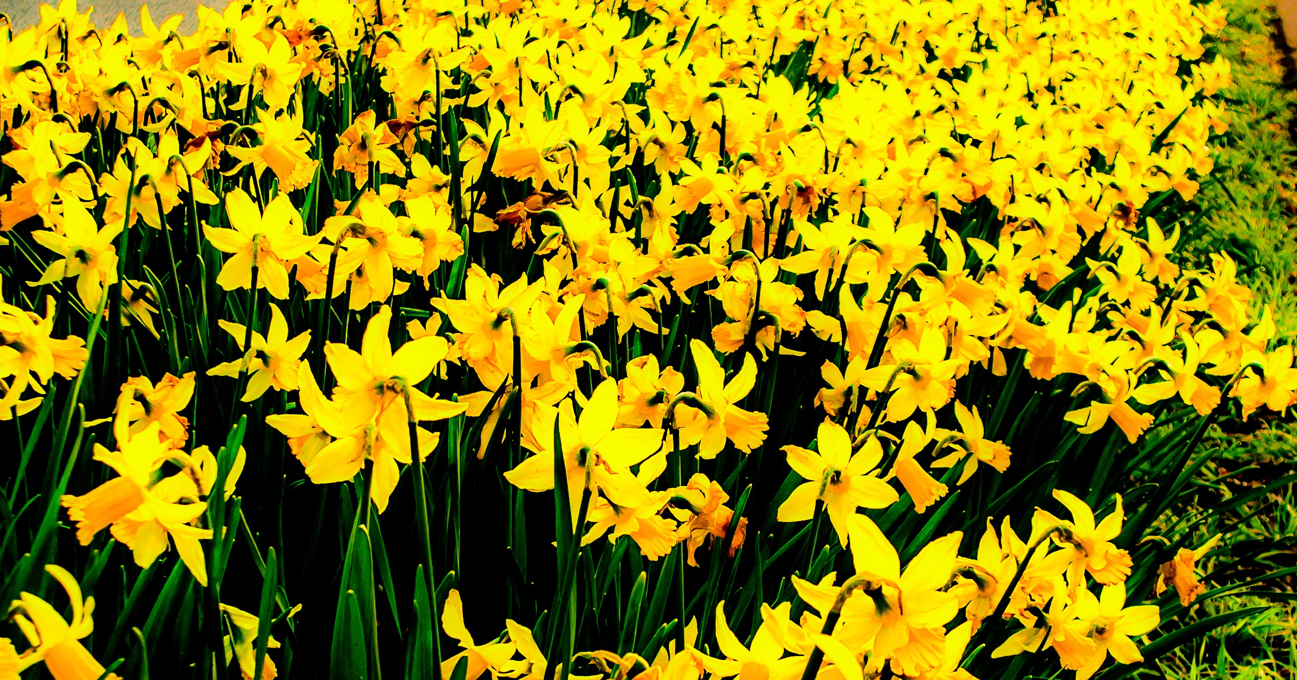 Spring_Time_Cleaning